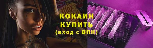 скорость Гусев