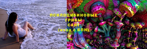 скорость Гусев