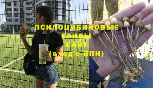 скорость Гусев